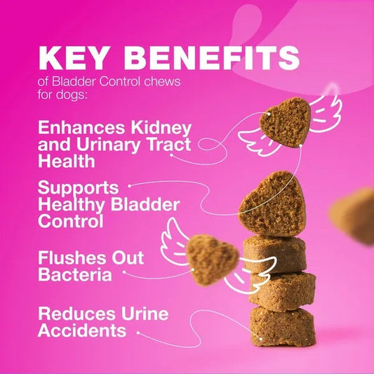Dog UTI Treatment Dog Cranberry Supplement For Bladder Kidney Health