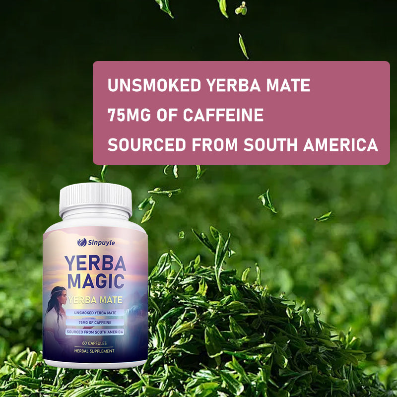 Yerba Magic Yerba Mate Pure Clean Energy Gut Health Supplements Probiotic Digestive Support Capsules Immune Support Daily Wellness 60 Capsules Bottle