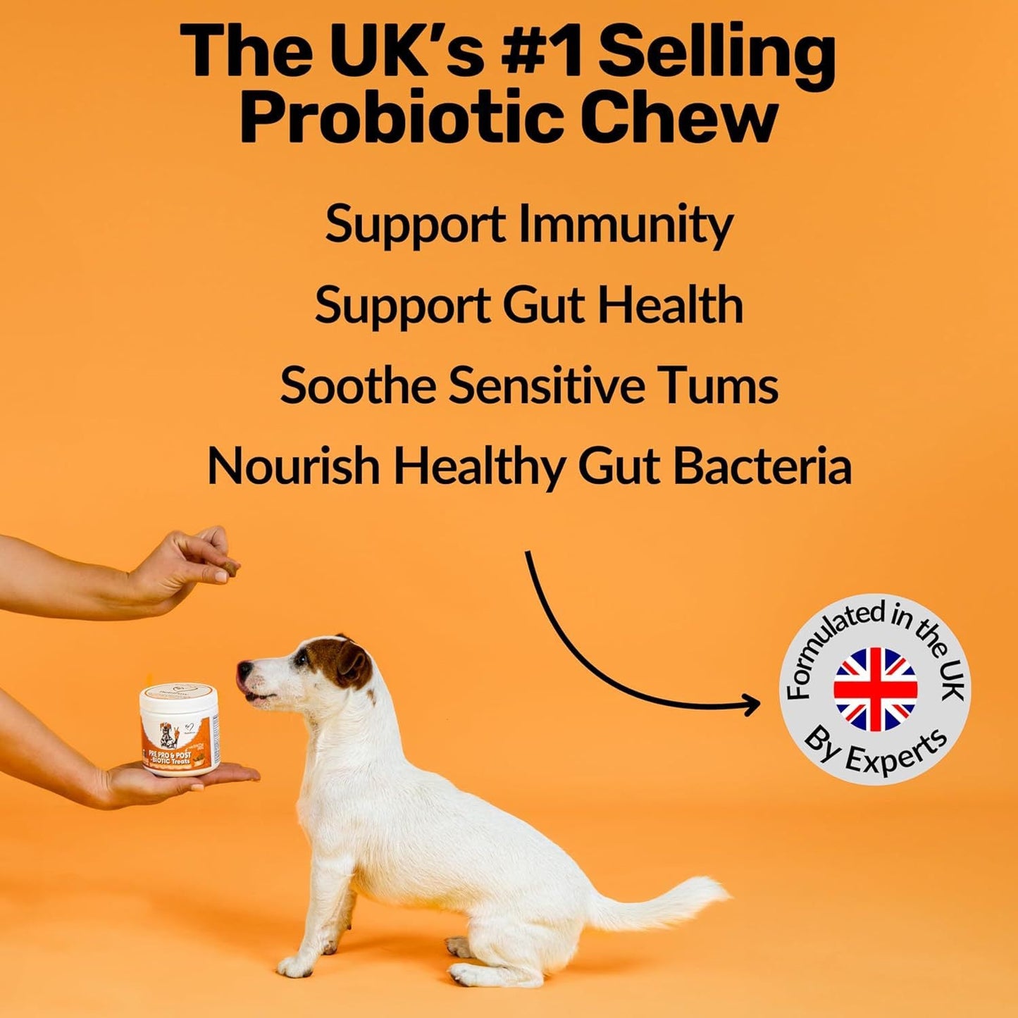 Dog Prebiotics Digestive Snacks Intestinal Health Pet Health Care Products